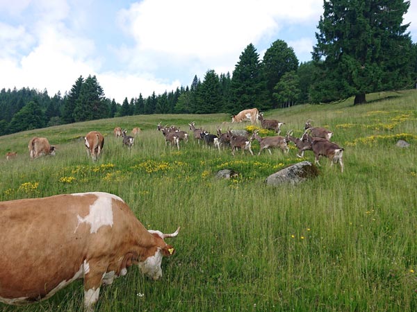 Startseite-landwirtschaft