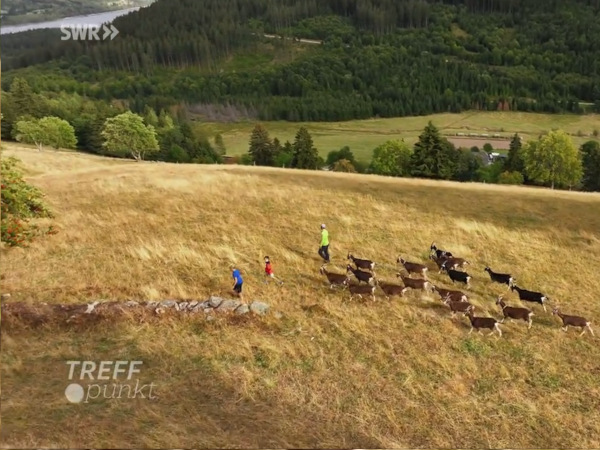 swr-treffpunkt-2026-09-20-Von Wald bis Weinberg - anpacken für unsere schöne Landschaft